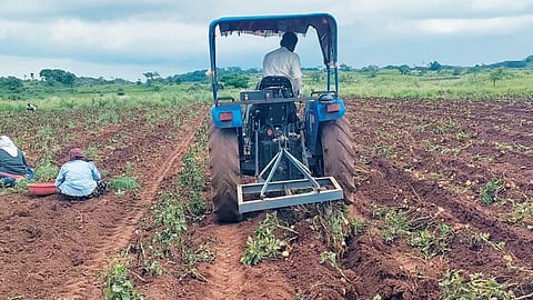 Crop Damage Due to Heavy Rain