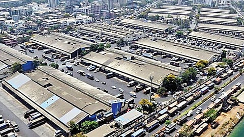 National market project