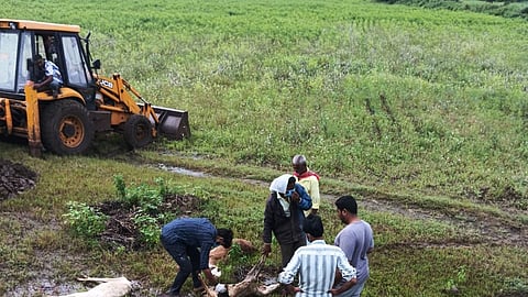Tuljapur Andur Sheep Death