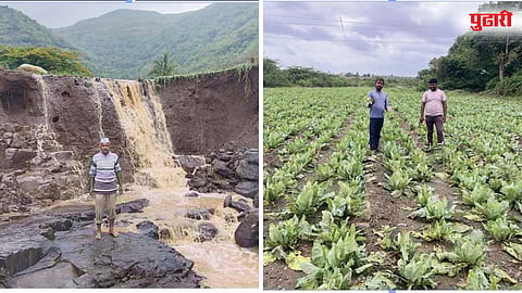 Ambegaon Shirur Crop Damage