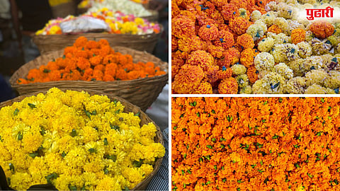 Dasara Flower Market Rates