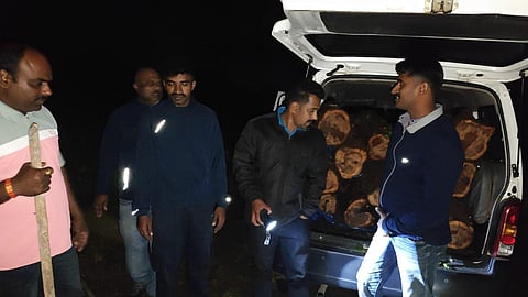 khair wood smuggling