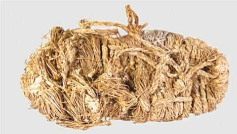 Medieval Shoe Discovery