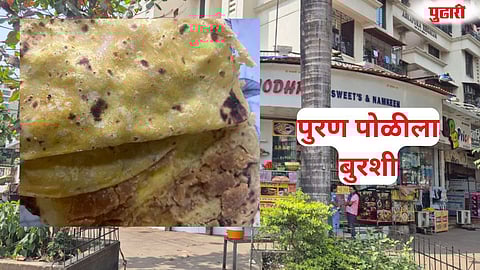 Fungus in Puran Poli