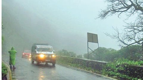 Amboli Rainfall  