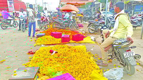 Jalna Agricultural damage