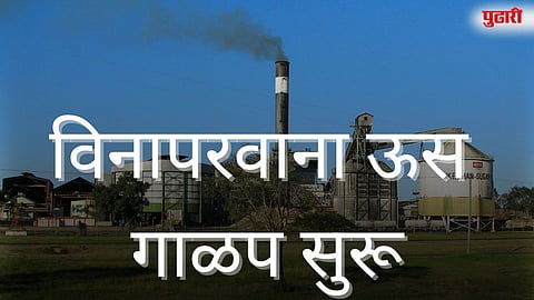 विनापरवाना ऊस गाळप प्रकरणी पाच साखर कारखान्यांना नोटिस