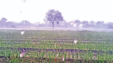 चांदवड ( नाशिक ) 