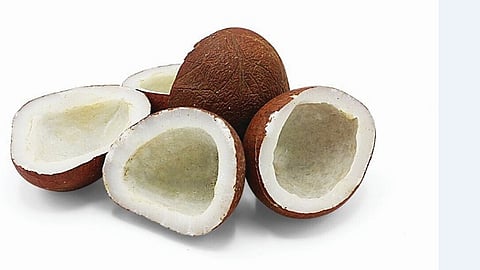 Dry coconut price