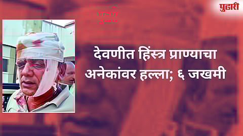 देवणीत हिंस्त्र प्राण्याचा अनेकांवर हल्ला; ६ जखमी 