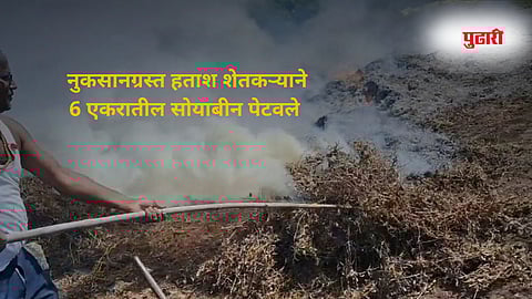 अवकाळी पावसाने होत्याचं नव्हतं केलं, कर्जबाजारी शेतकऱ्याने 6 एकरातील सोयाबीन पेटवले