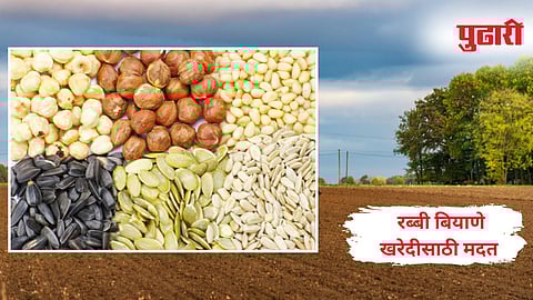 Wardha News | रब्बी बियाणे खरेदीसाठी शेतकऱ्यांना मिळणार प्रती हेक्टरी 10 हजारांची मदत - पालकमंत्री डॉ. भोयर