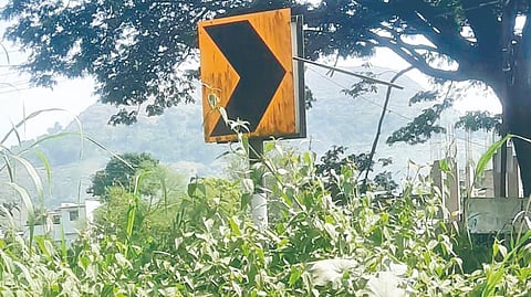 Patan News: पाटण मार्गावरील दिशादर्शक फलक झाकोळले