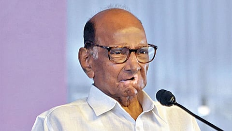 Satara News: सातारच्या नगराध्यक्षपदासाठी शरद पवार गटाचा शड्डू