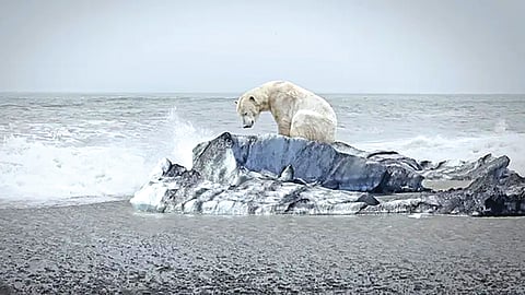 Global Warming Chain