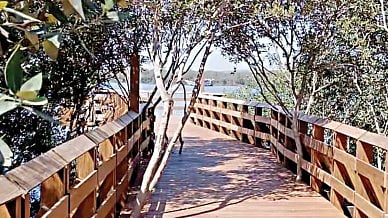 Gorai Dahisar mangrove park‌ project