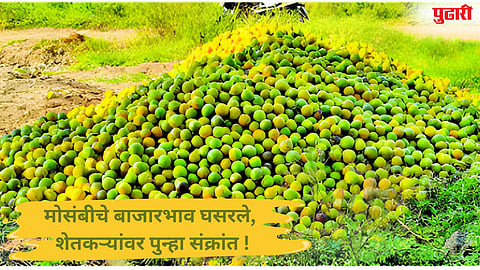 Citrus Prices Falling