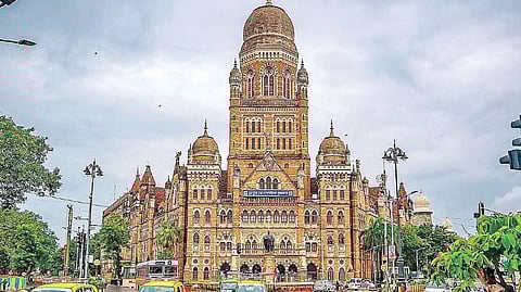 BMC election