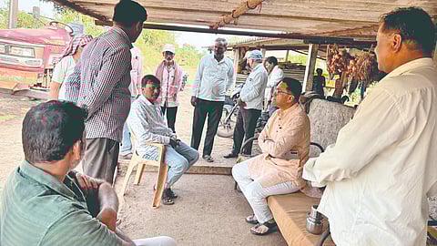 Leopard Attack: पाचुंब्री येथे बिबट्याच्या हल्ल्यात तीन गाईंचा मृत्यू