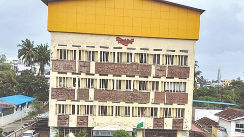 Local body elections