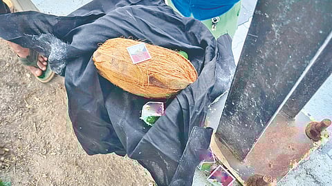 Sangli News: विसापूर स्मशानभूमीत जादूटोणा