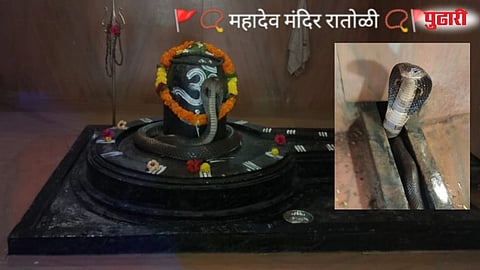 Ratoli village snake in temple