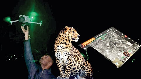 Sawantwadi Leopard Sighting 