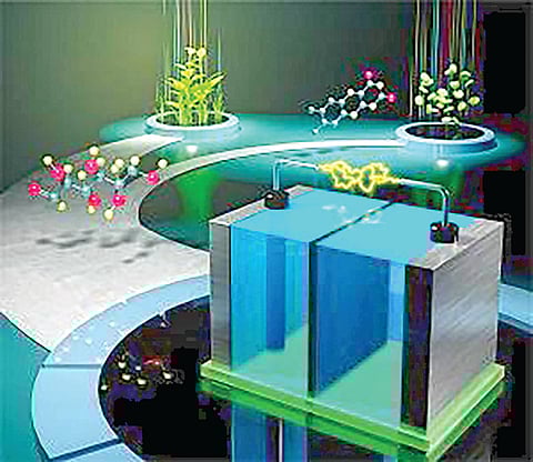 Sugar Vitamin B2 Battery