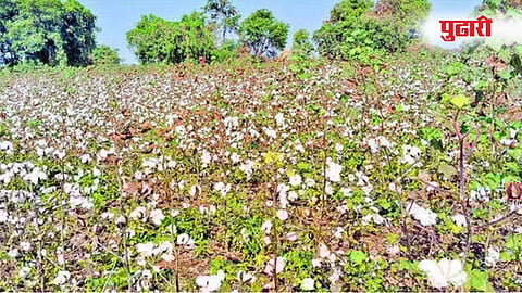 पिंपळगाव रेणुकाई (जालना) 