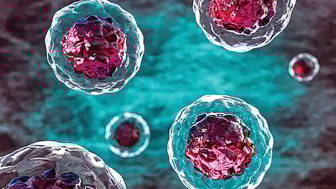 zombie cells blood vessels