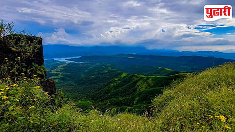 Leopard Conflict Rajgad Panshet