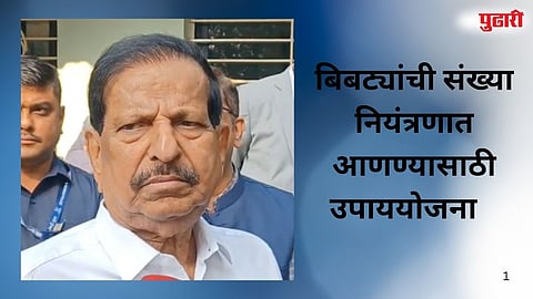 Leopard conservation project