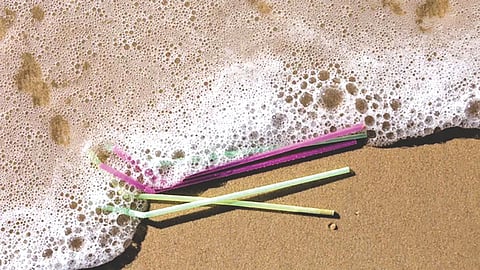 Plastic Pollution Crisis