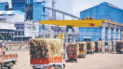 Sugar Export Decision Likely to Remain a Mirage for India