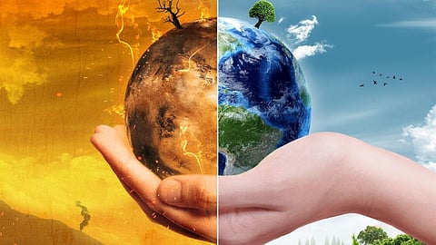 Global warming effects