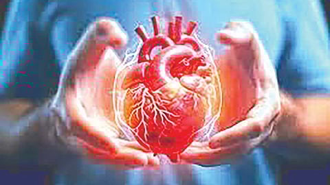 Heart protective factors 