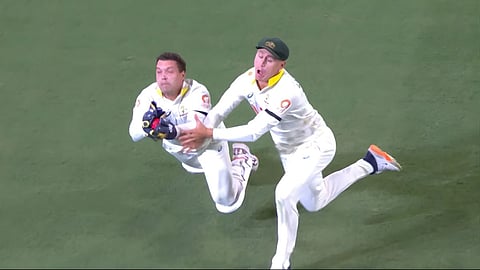 Catch Video : अ‍ॅलेक्स केरीचा 'तो' अद्भुत झेल! लाबुशेनशी टक्कर होऊनही केली कमाल, दिवस गाजवला