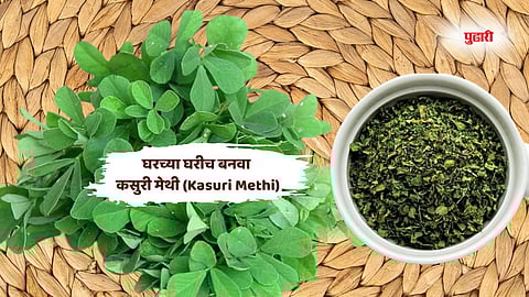 Kasuri Methi