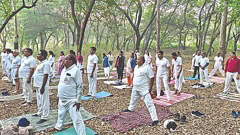 Tapovan Nashik tree cutting