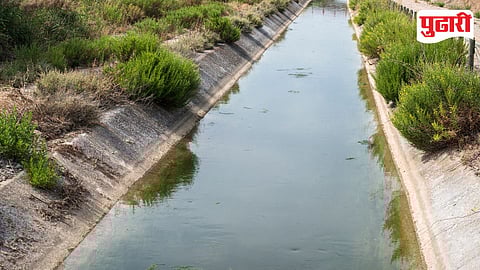 Dimbhe Left Canal Water