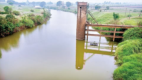 Crocodile Attack Incidents