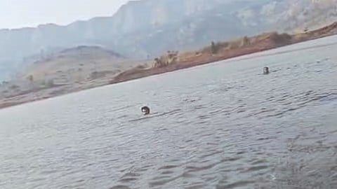Pali Bhootwali dam rescue