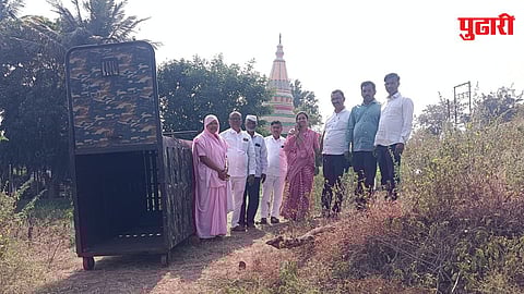 Leopard Tinhwadi Pune