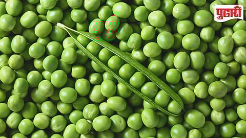 Green Peas