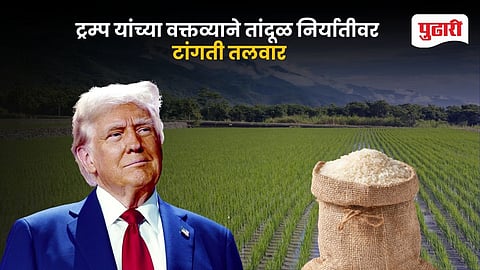 Trump Indian Rice Tariff