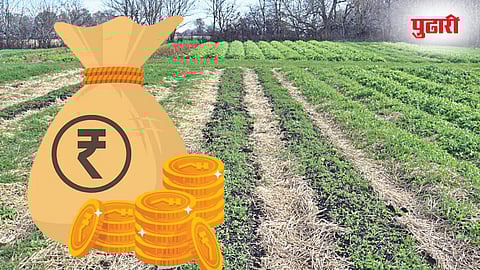 Indebted Farmers : राज्य सरकारने कर्जदार शेतकऱ्यांची मागवली माहिती