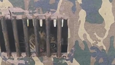 देवळा (नाशिक) 