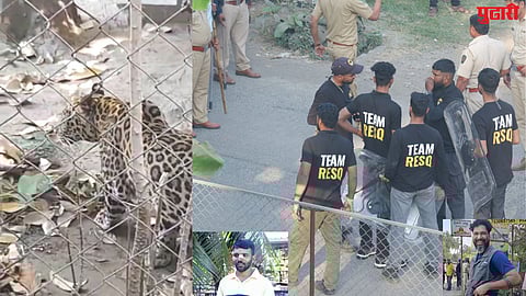 Leopard attack Nagav