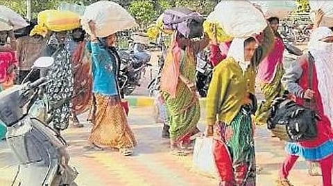 Mahad taluka migration