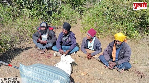Bhandara Adyal forest poachers